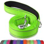 Joytale Reflective Dog Leash with Padded Handle