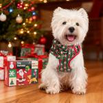 PUPTECK Christmas Dog Harness and Leash Set