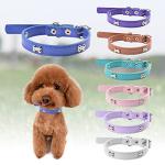 Adjustable Leather ID Collars for Dogs and Cats