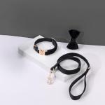 Custom Velvet Harness and Collar Set for Dogs