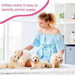 36 Pcs Colorful Puppy Collar and Leash Set