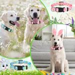 St. Patrick's Day Dog Collars - 6 Pack