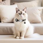QR Code Cat Collar with Breakaway Reflective Feature