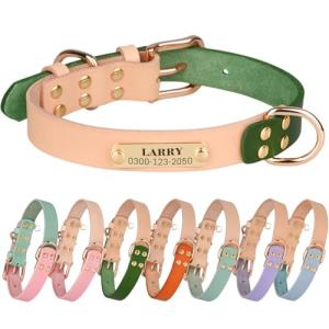 Personalized Leather Dog Collar with Engraved ID Tag