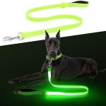 Light-Up USB Rechargeable Dog Leash - 4 Ft