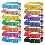 Colorful Adjustable ID Collars for Puppies
