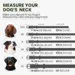 Soft Leather Dog Collar with ID Tag – Black