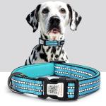 Personalized Reflective Dog Collar with QR Code