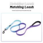 Reflective Personalized Dog Collar and Leash Set