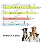 Adjustable Leather ID Collars for Dogs and Cats