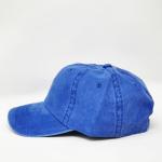 Golden Retriever Embroidered Dad Hat in Blue