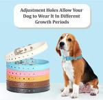 Colorful Adjustable ID Collars for Puppies