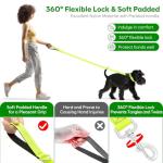 Light-Up USB Rechargeable Dog Leash - 4 Ft