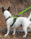 Joytale Reflective Dog Leash with Padded Handle