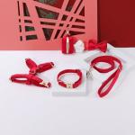 Custom Velvet Harness and Collar Set for Dogs
