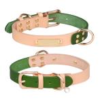 Personalized Leather Dog Collar with Engraved ID Tag