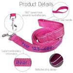 Custom Reflective Dog Leash with Name & Number