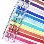 Soft Adjustable ID Collars for Puppies and Kittens