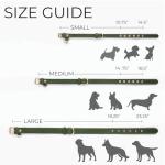 Cactus Vegan Leather Dog Collar with Gold Hardware