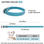 Colorful Adjustable ID Collars for Puppies