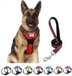 Personalized No Pull Dog Harness and Leash Set