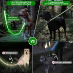 Light-Up USB Rechargeable Dog Leash - 4 Ft