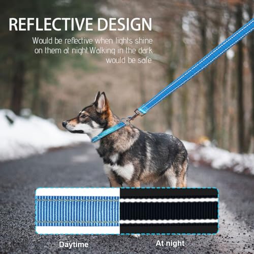 Custom Reflective Dog Leash with Name & Number