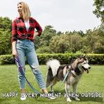 Reflective Personalized Dog Collar and Leash Set