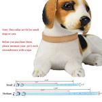 Soft Adjustable ID Collars for Puppies and Kittens
