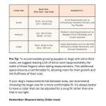 Cactus Vegan Leather Dog Collar with Gold Hardware