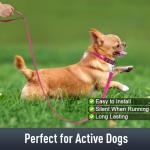 Hot Pink Airtag Collar for Small Dogs