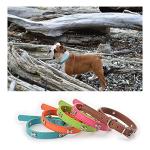 Adjustable Leather ID Collars for Dogs and Cats