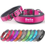 Customizable Reflective Dog Collar with Name & Number