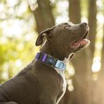 Reflective Personalized Dog Collar and Leash Set