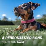 Customizable Reflective Dog Collar with Name & Number