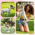 Floral Dog Collar and Leash Set for Small Dogs