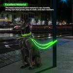 Light-Up USB Rechargeable Dog Leash - 4 Ft
