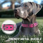 Customizable Reflective Dog Collar with Name & Number