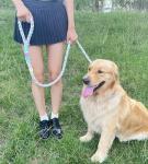 Colorful 5ft Braided Cotton Dog Leash