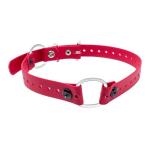Mini Double Bungee Dog Collar - Waterproof & Adjustable