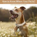 Wisedog Waterproof Adjustable Dog Collar with Airtag