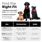 Pink Waterproof Dog Collar and Leash Set