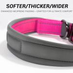 Customizable Reflective Dog Collar with Name & Number