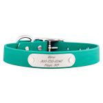 Personalized Waterproof Dog Collar with Nameplate
