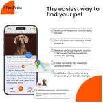 Personalized Reflective Dog Collar with QR Code