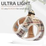 PUPTECK No Pull Adjustable Dog Harness and Leash