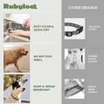 Waterproof Dog Collar for All Weather Conditions