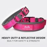 Customizable Reflective Dog Collar with Name & Number