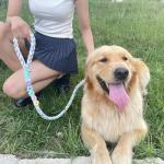 Colorful 5ft Braided Cotton Dog Leash