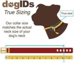 Personalized Waterproof Dog Collar with Nameplate